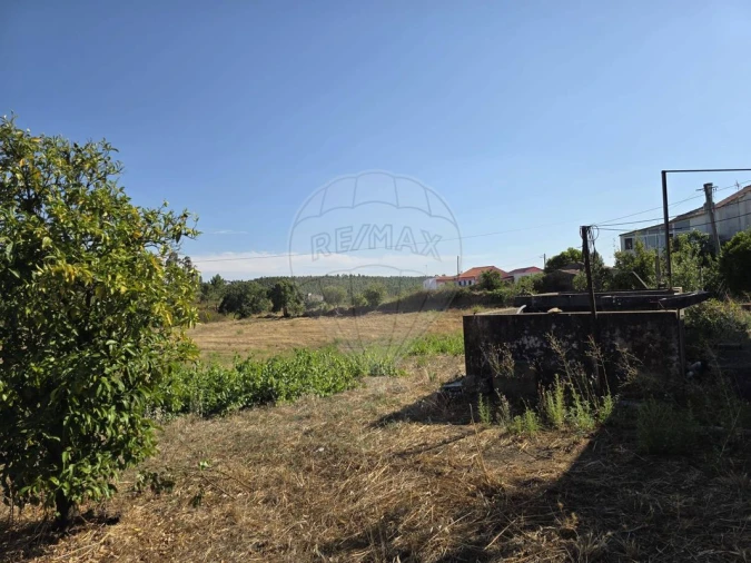 Moradia T4 para Venda em Envendos Foto 36