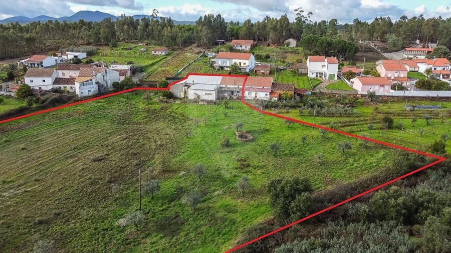 Moradia T4 para Venda em Envendos Foto 5