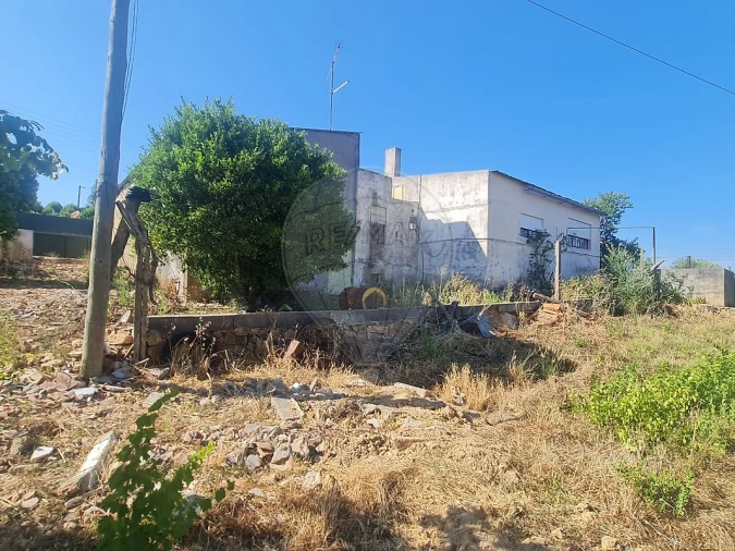 Moradia T4 para Venda em Envendos Foto 19