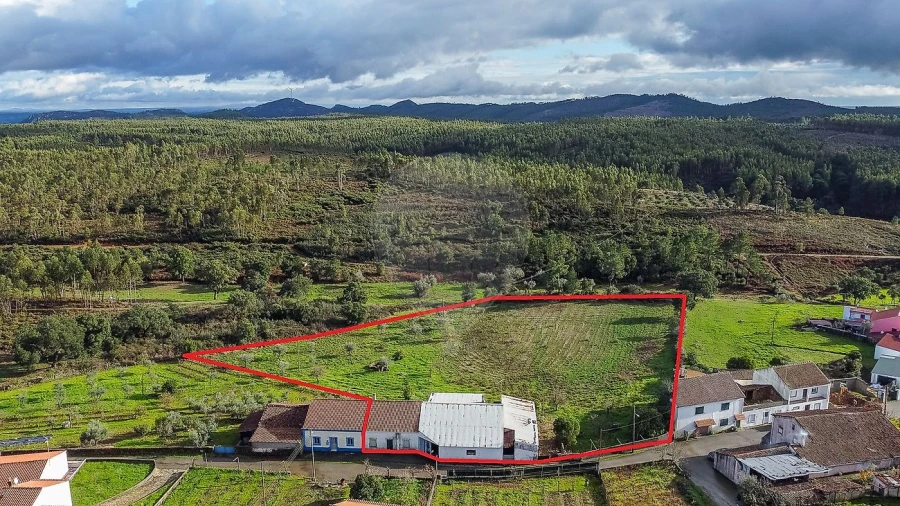 Moradia T4 para Venda em Envendos Foto 44