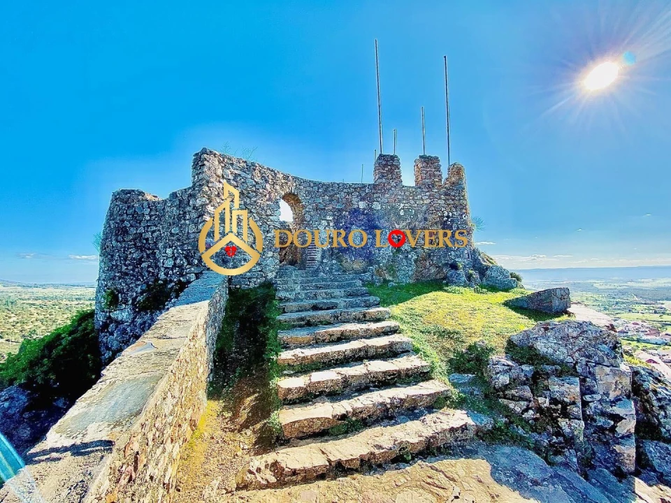 Terreno para Venda em Aldeia do Mato e Souto Foto 14