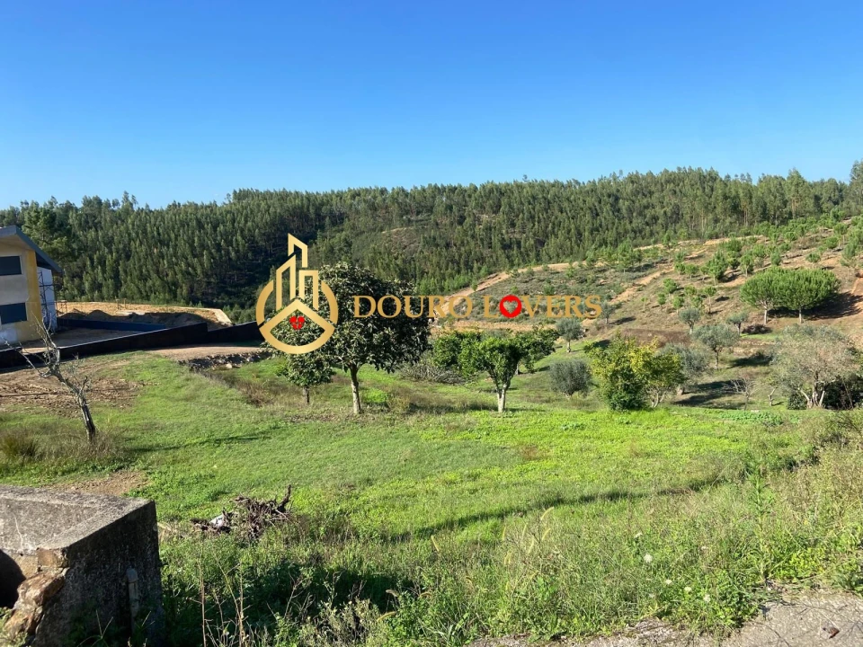 Terreno para Venda em Aldeia do Mato e Souto Foto 5