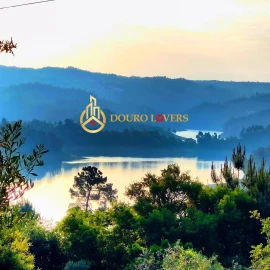 Terreno para Venda em Aldeia do Mato e Souto