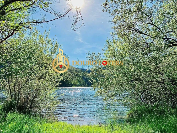 Terreno para Venda em Aldeia do Mato e Souto Foto 7