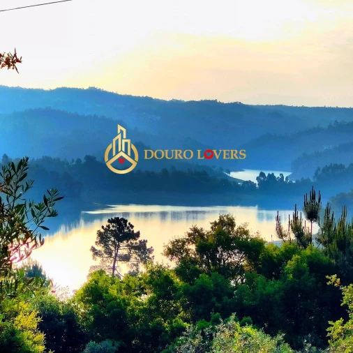 Terreno para Venda em Aldeia do Mato e Souto Foto 10