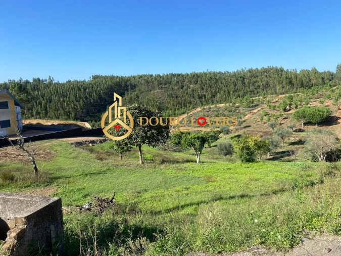 Terreno para Venda em Aldeia do Mato e Souto Foto 5