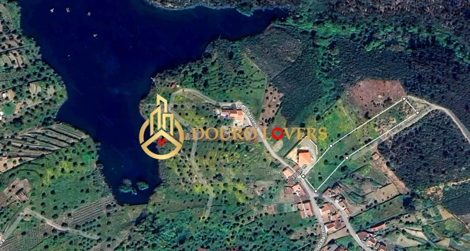 Terreno para Venda em Aldeia do Mato e Souto Foto 8