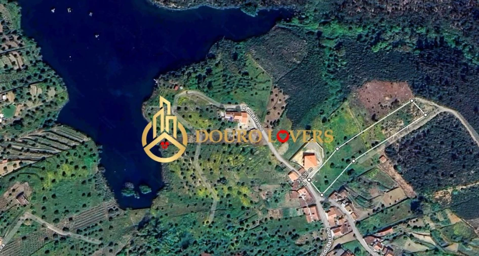 Terreno para Venda em Aldeia do Mato e Souto Foto 8