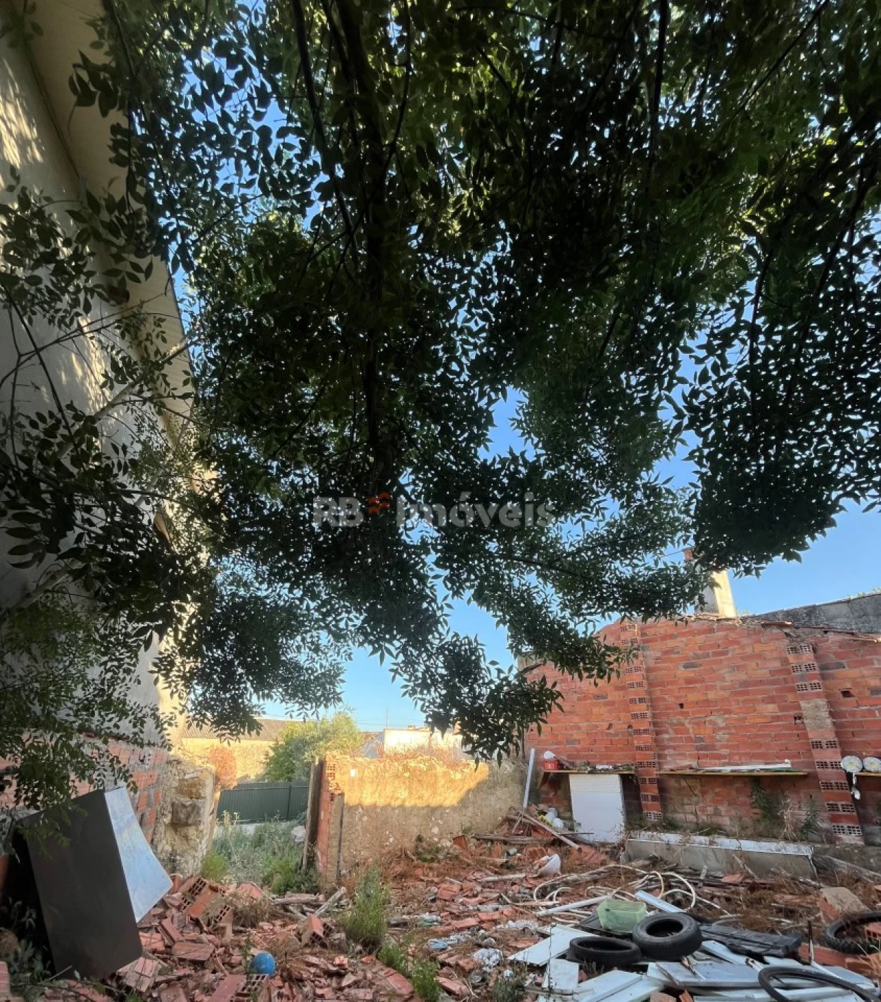 Armazém para Venda em Paialvo Foto 4