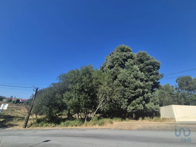 Terreno para Venda em Arrifana Foto 5