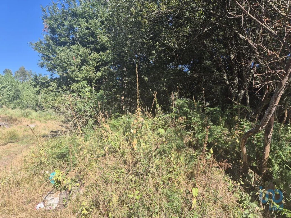 Terreno para Venda em Arrifana Foto 1