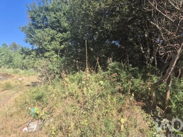 Terreno para Venda em Arrifana