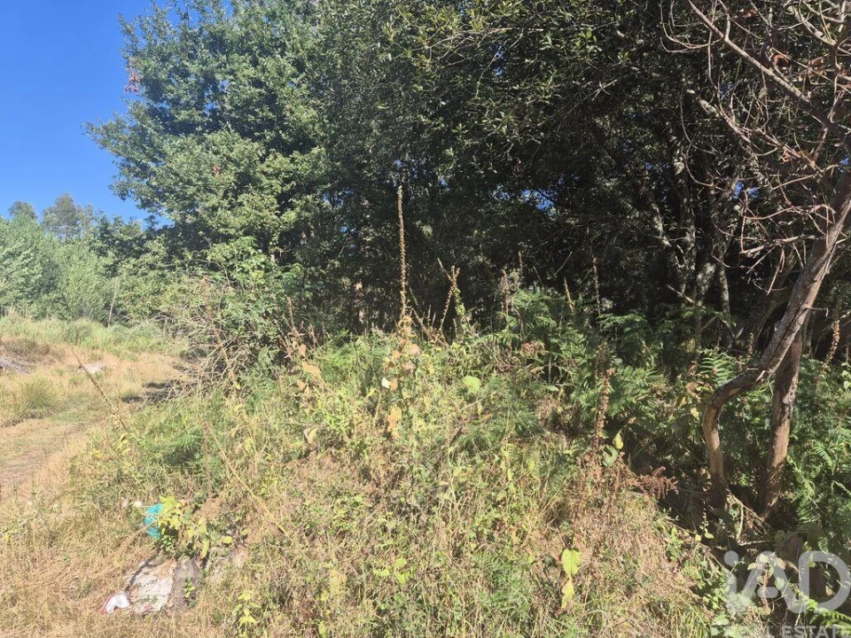 Terreno para Venda em Arrifana Foto 2