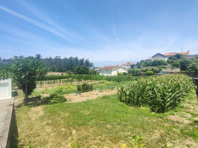 Terreno para Venda em Rio Mau e Arcos Foto 4