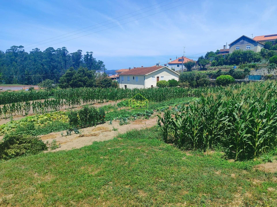 Terreno para Venda em Rio Mau e Arcos Foto 14
