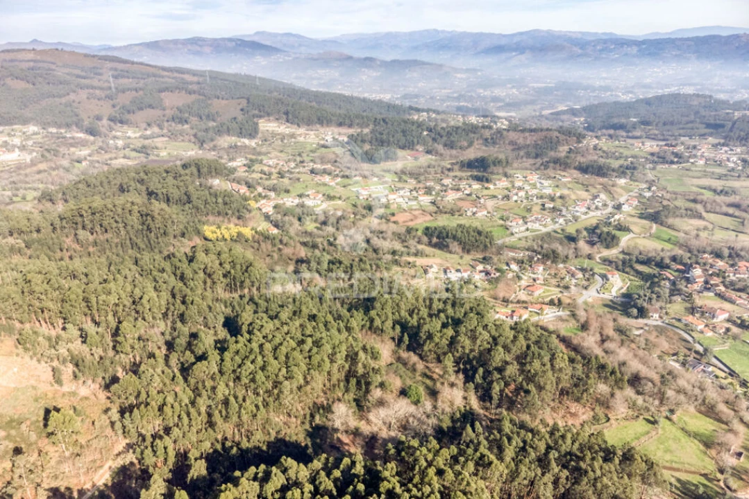 Terreno para Venda em Escariz (São Mamede) e Escariz (São Martinho) Foto 7