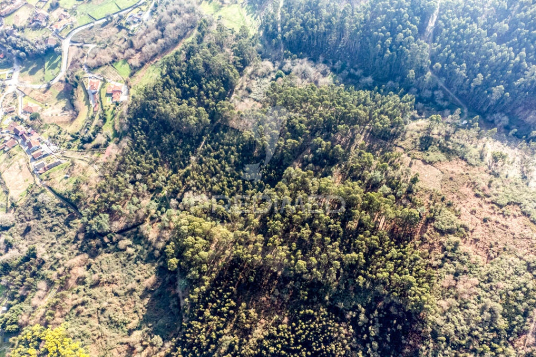 Terreno para Venda em Escariz (São Mamede) e Escariz (São Martinho) Foto 10