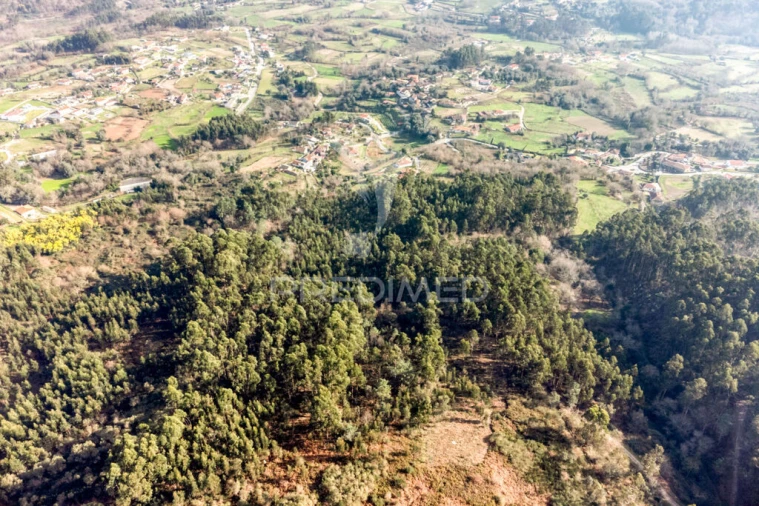 Terreno para Venda em Escariz (São Mamede) e Escariz (São Martinho) Foto 9
