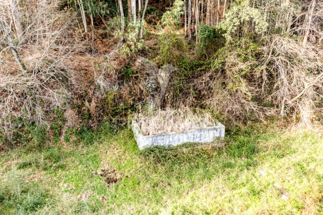 Terreno para Venda em Escariz (São Mamede) e Escariz (São Martinho) Foto 18