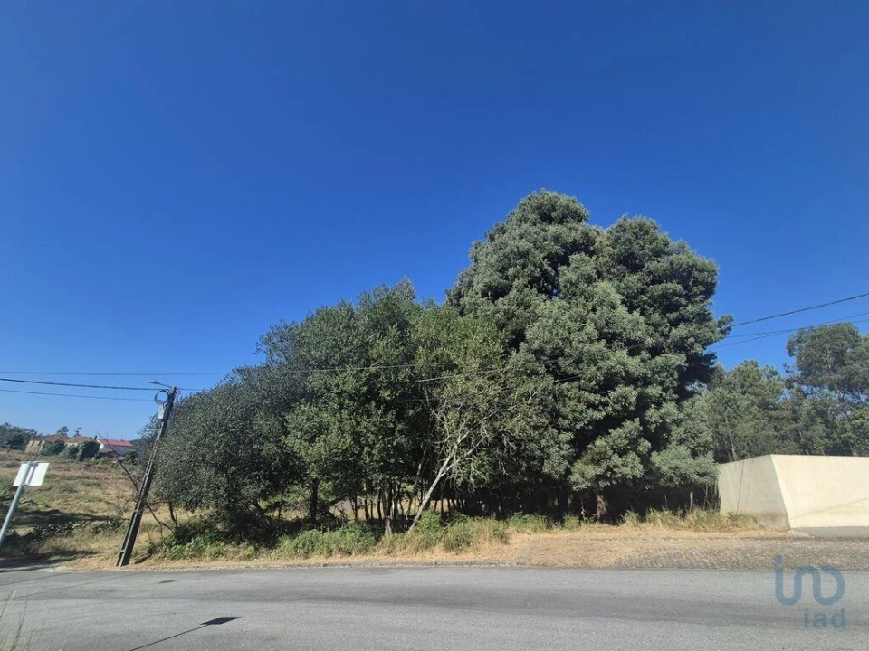 Terreno para Venda em Arrifana Foto 5