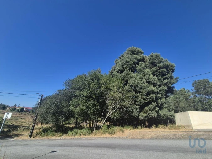 Terreno para Venda em Arrifana Foto 5