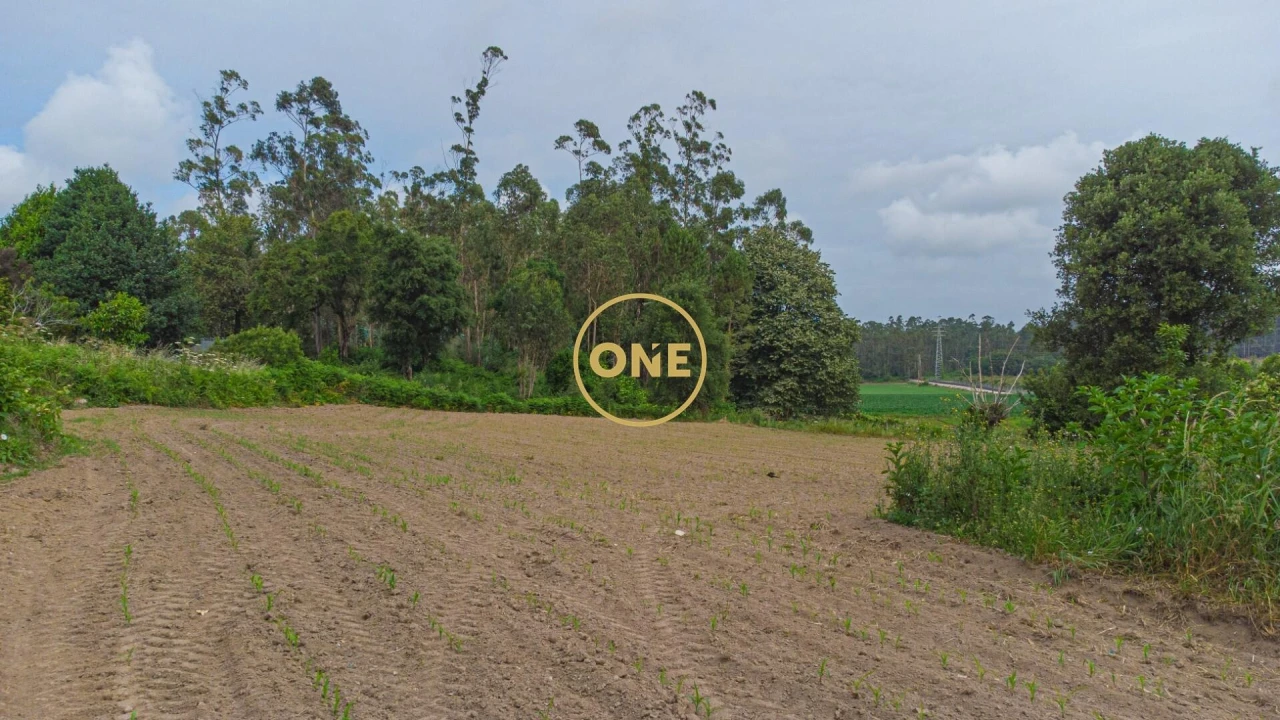 Terreno para Venda em Vilar e Mosteiró Foto 1