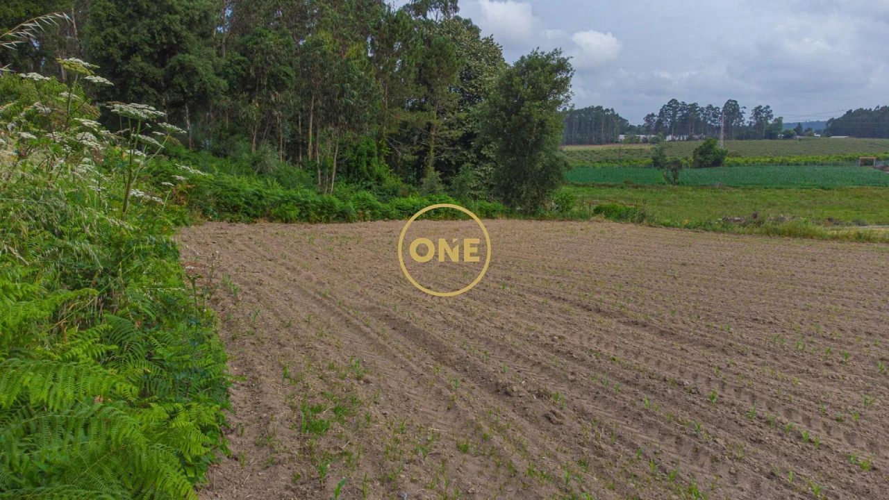 Terreno para Venda em Vilar e Mosteiró Foto 4