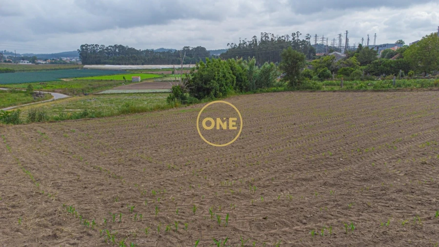 Terreno para Venda em Vilar e Mosteiró Foto 7