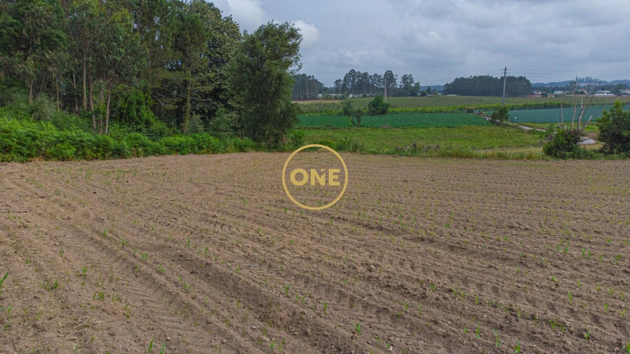 Terreno para Venda em Vilar e Mosteiró Foto 5