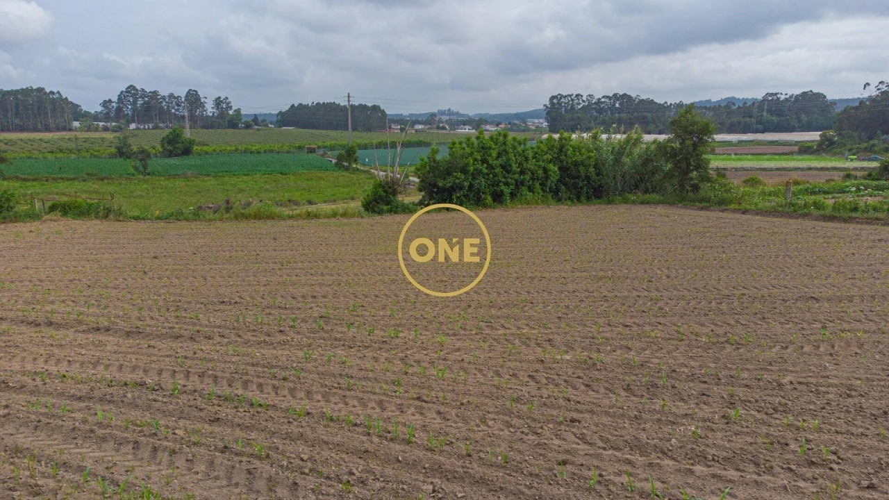 Terreno para Venda em Vilar e Mosteiró Foto 9