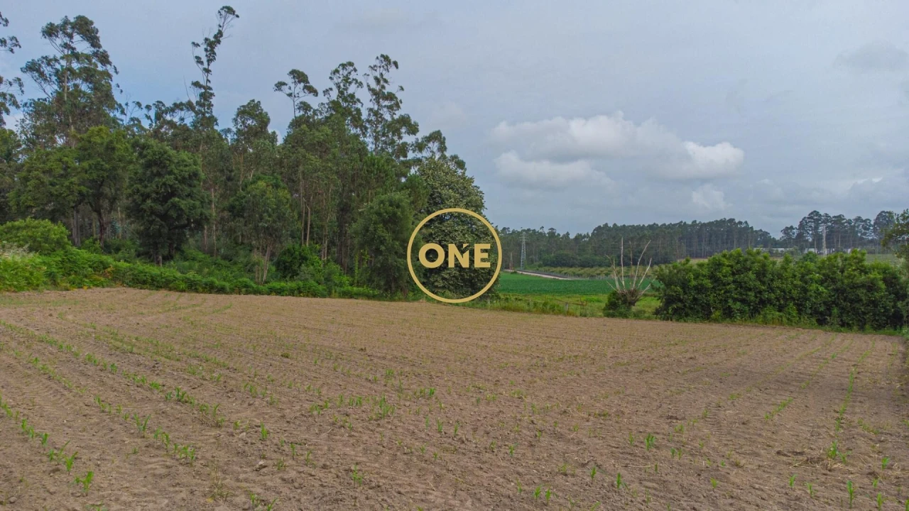 Terreno para Venda em Vilar e Mosteiró Foto 2