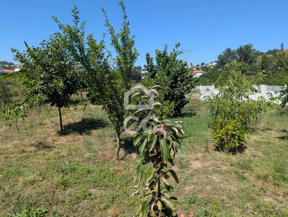 Terreno para Venda em Serzedelo Foto 23
