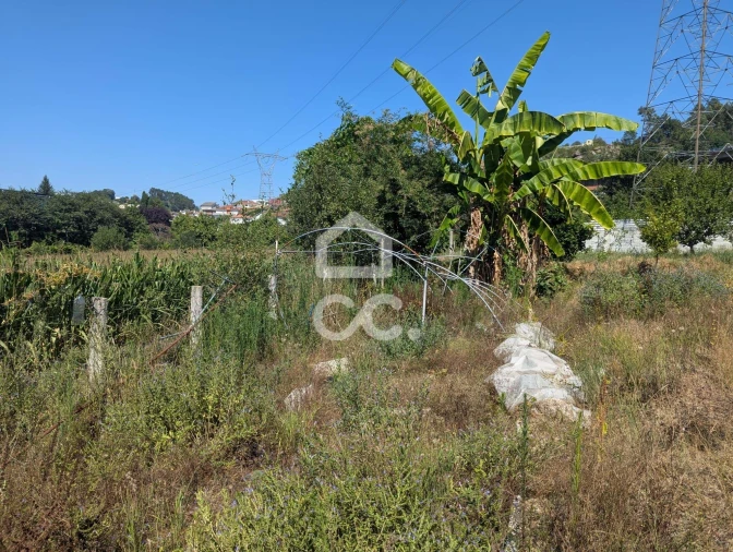 Terreno para Venda em Serzedelo Foto 26