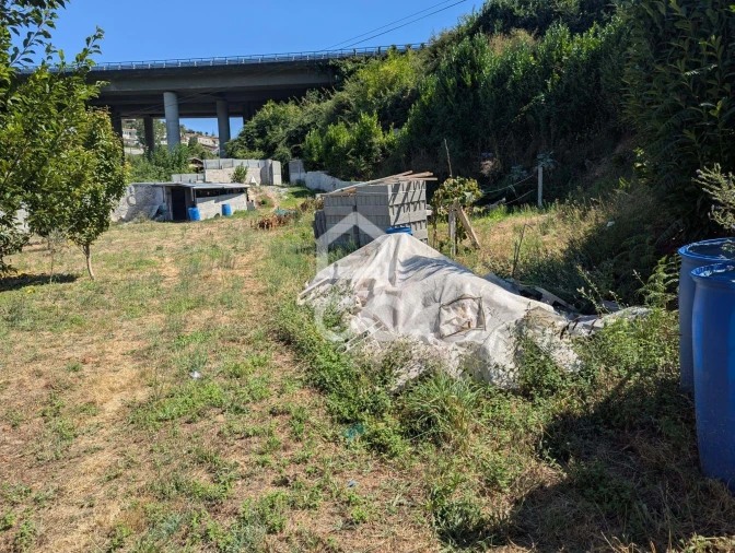 Terreno para Venda em Serzedelo Foto 19