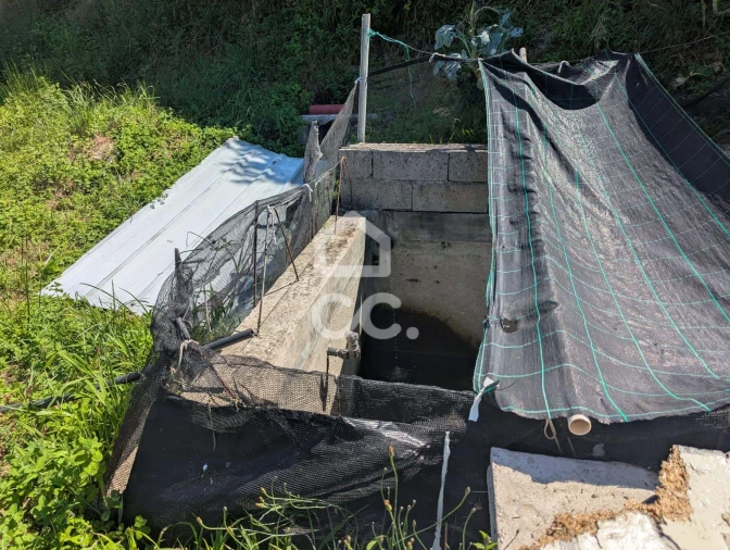 Terreno para Venda em Serzedelo Foto 17