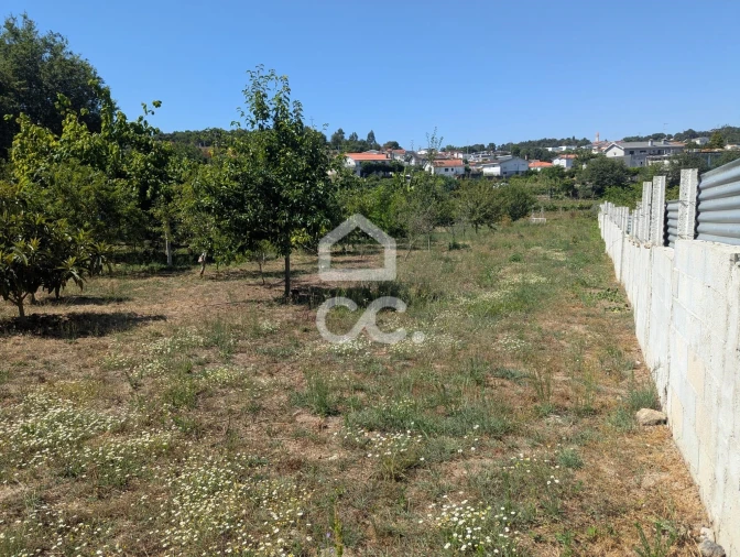 Terreno para Venda em Serzedelo Foto 8