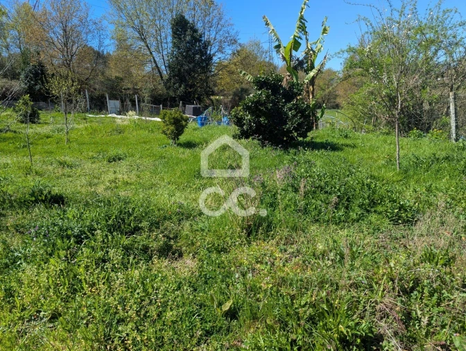 Terreno para Venda em Serzedelo Foto 4