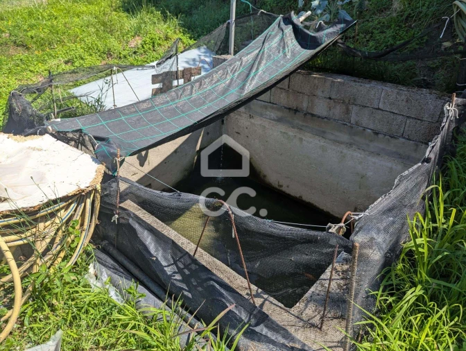 Terreno para Venda em Serzedelo Foto 18