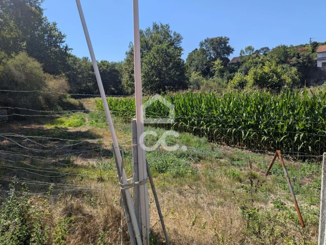 Terreno para Venda em Serzedelo Foto 29