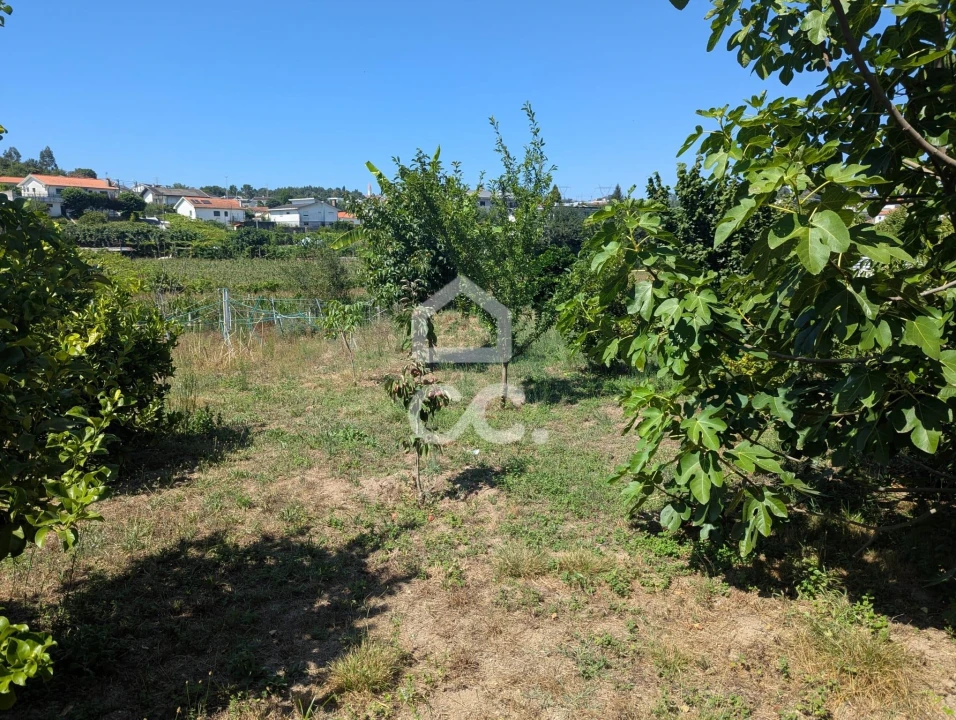 Terreno para Venda em Serzedelo Foto 22