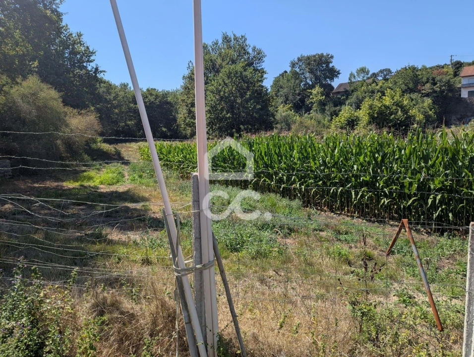 Terreno para Venda em Serzedelo Foto 29