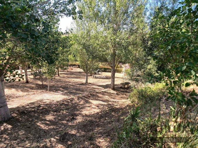 Quinta T5 para Venda em São Cristovão Foto 26