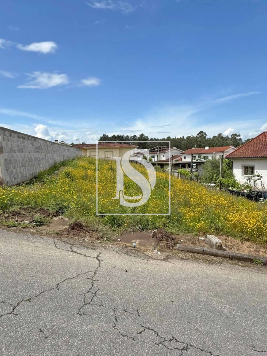 Terreno para Venda em Bico Foto 2