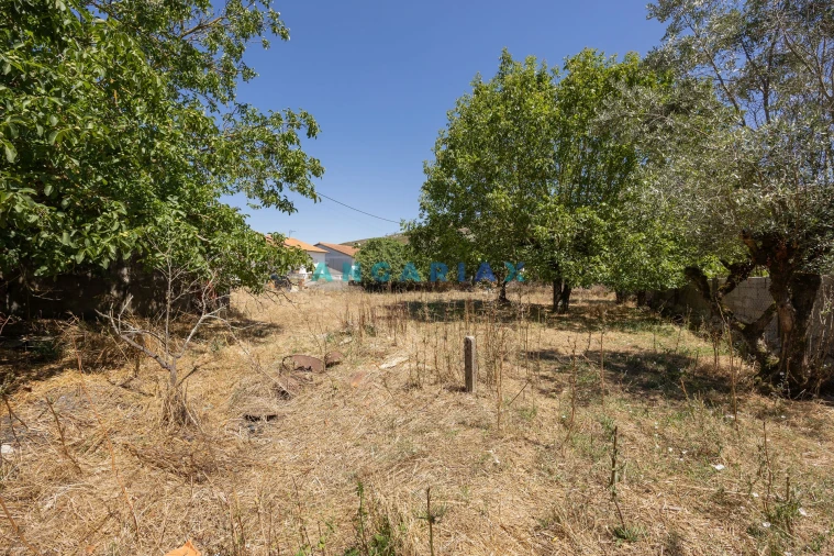 Moradia T3 para Venda em Arrimal e Mendiga Foto 50