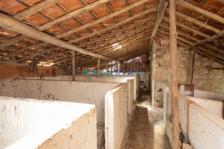 Moradia T3 para Venda em Arrimal e Mendiga Foto 39