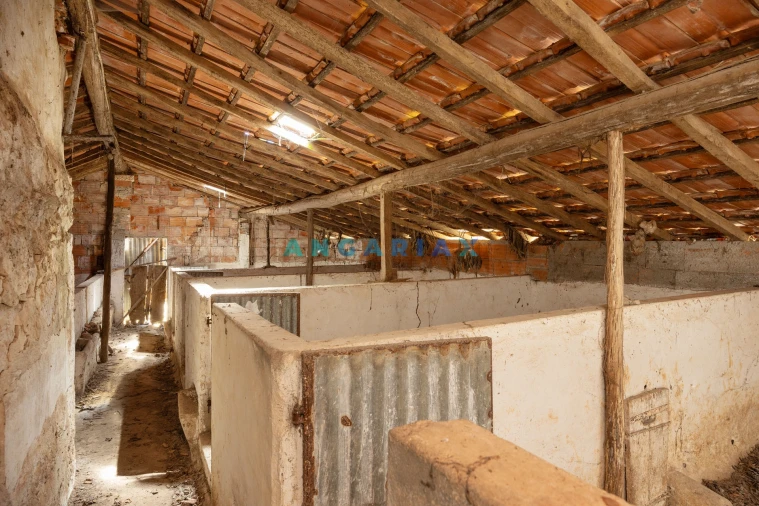 Moradia T3 para Venda em Arrimal e Mendiga Foto 38