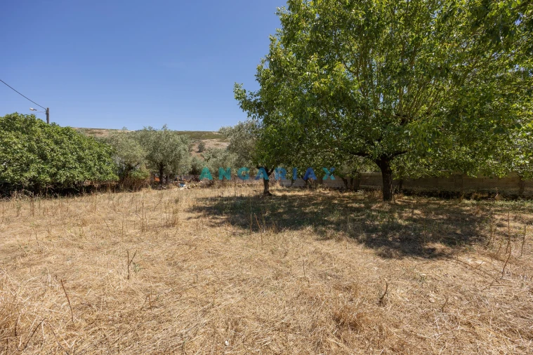 Moradia T3 para Venda em Arrimal e Mendiga Foto 52