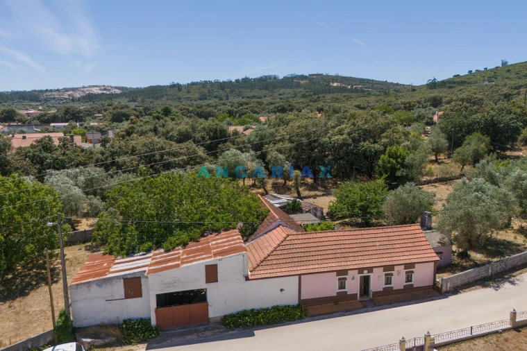 Moradia T3 para Venda em Arrimal e Mendiga Foto 59