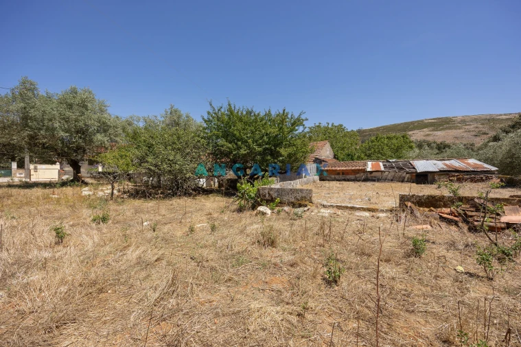 Moradia T3 para Venda em Arrimal e Mendiga Foto 46