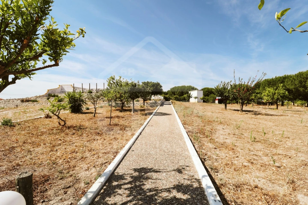 Moradia T5 para Venda em Branca Foto 51